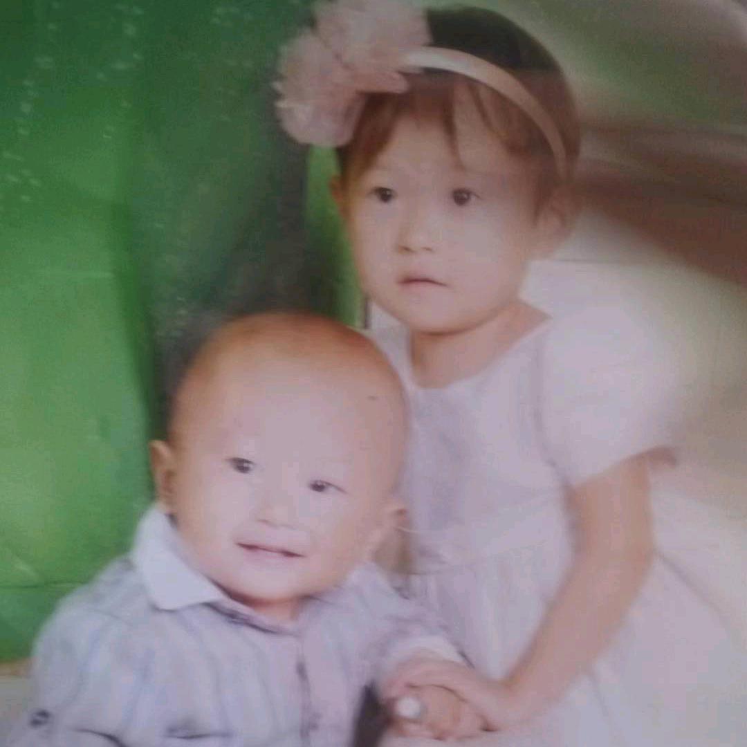 专业桦木直接板