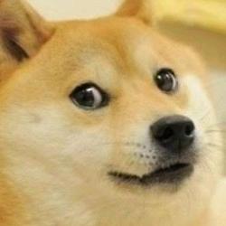 张大喵