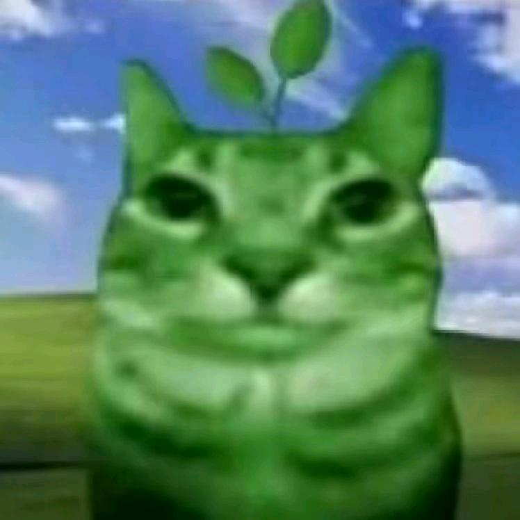 阿玉