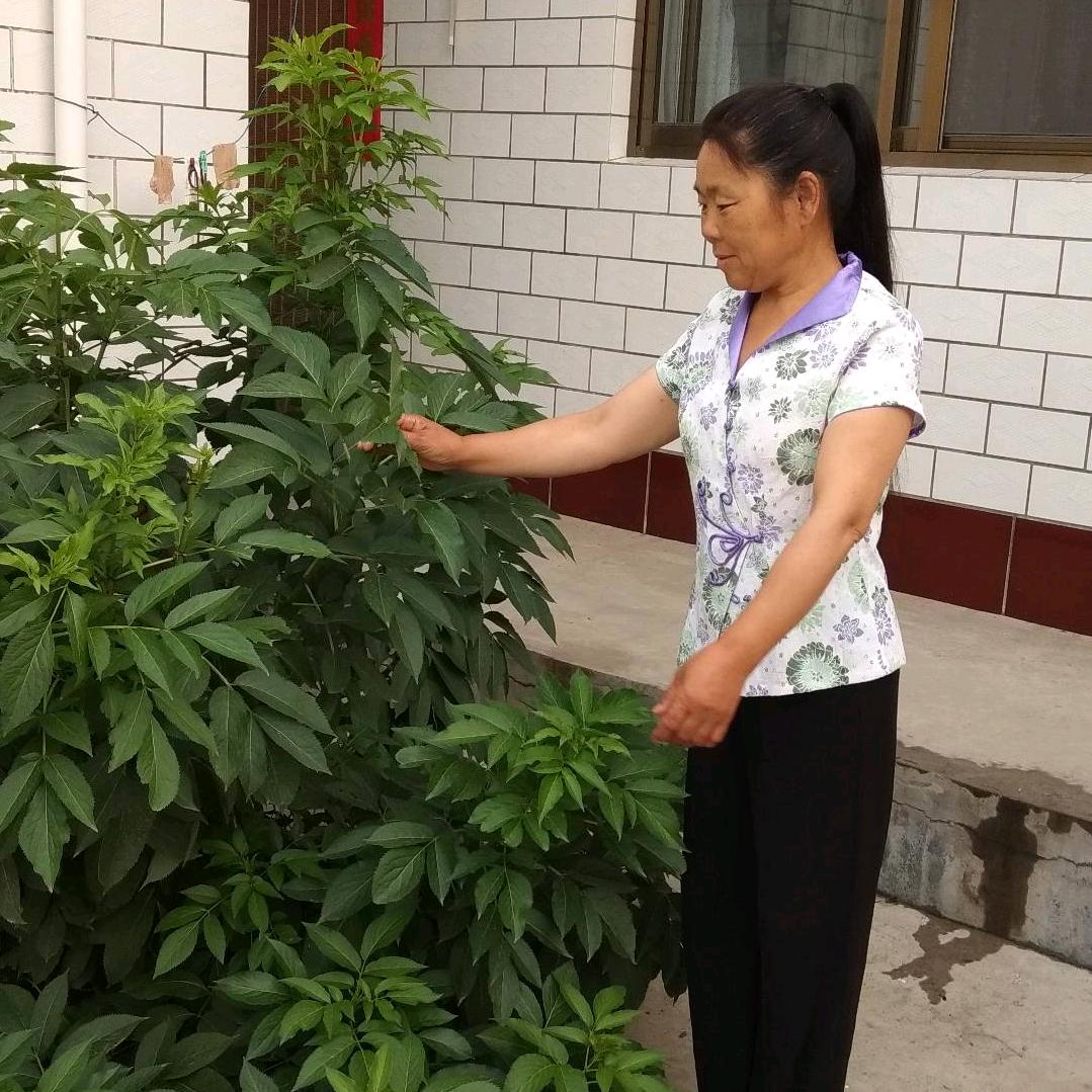 🌹微笑百货