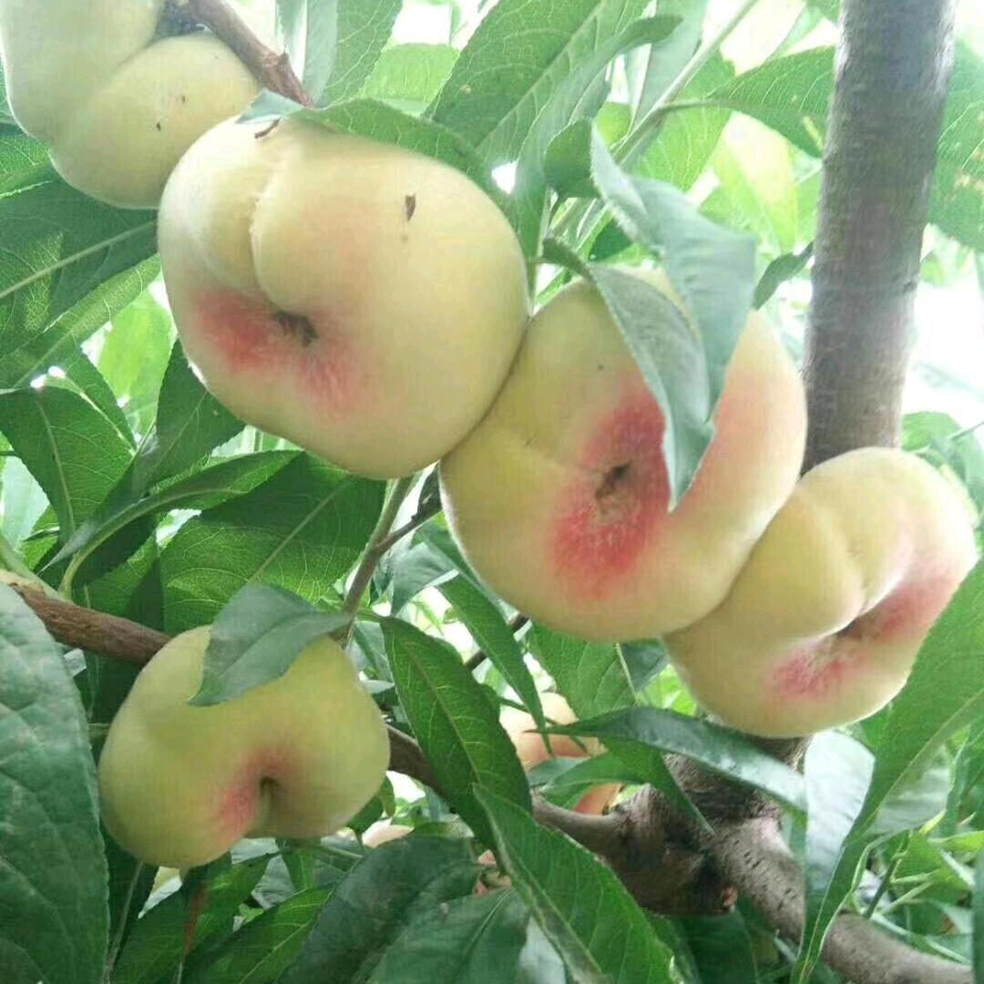 爱在左，情在右