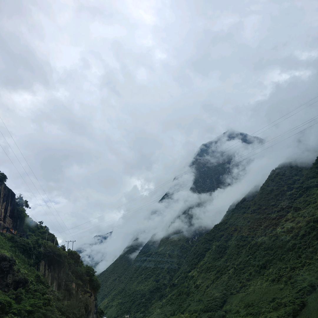 鱼玉遇与欲语雨