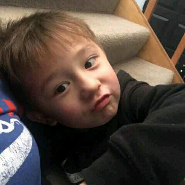 stephen