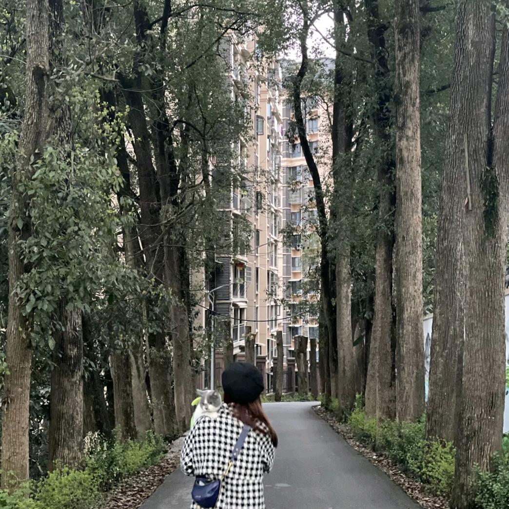 晓時候