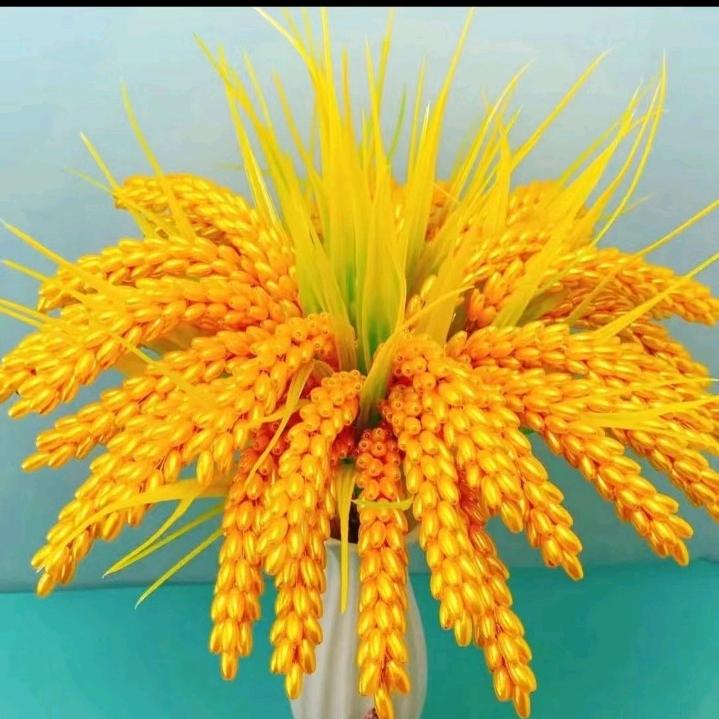 二妹娱乐爱跳舞