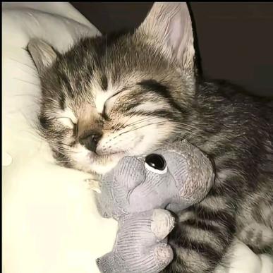 我可爱的渔渔呀