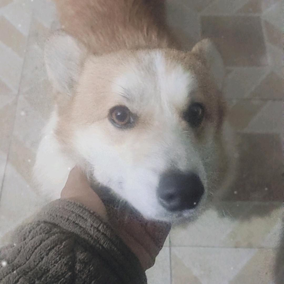 人贱无敌