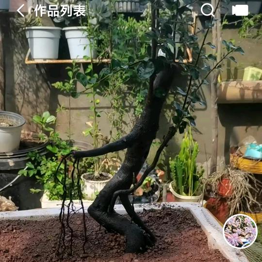 洁宇⁰⁷⁰¹（户外）
