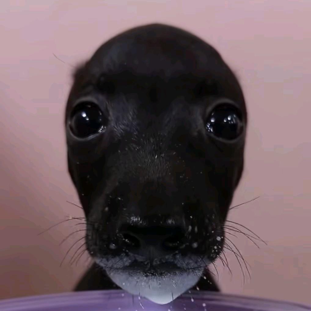 不抽香烟（机械飞升版）