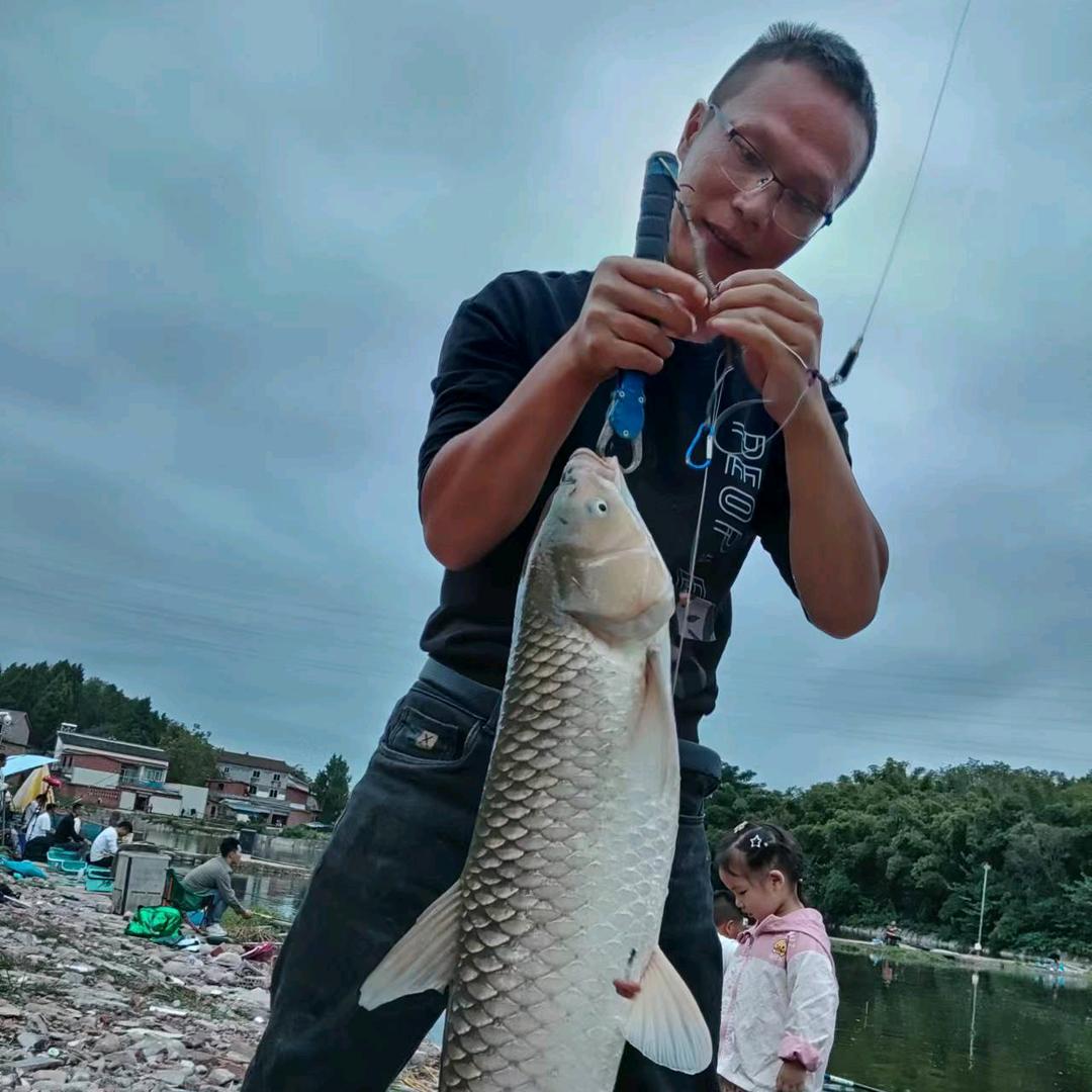 虾仁饭拔大青🦐