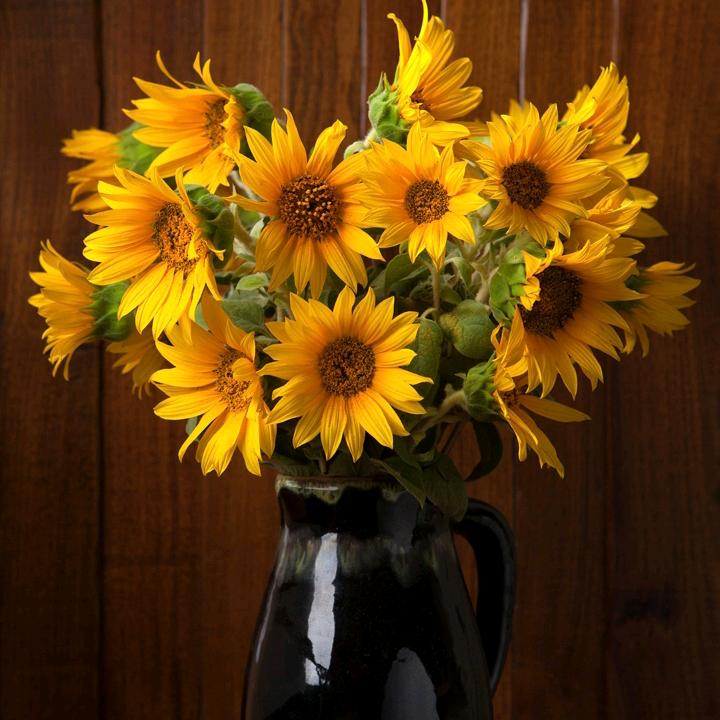 pintit㝊怘⁶¹⁵