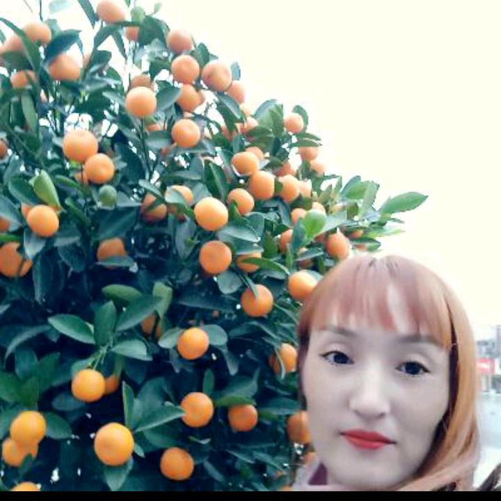 小香香✔