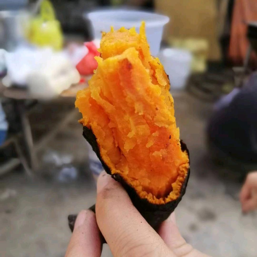 金生丽水