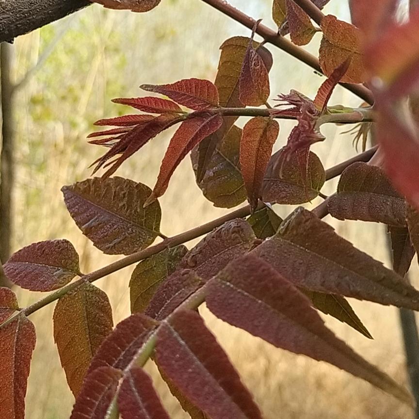 幸福的活着…江苏人