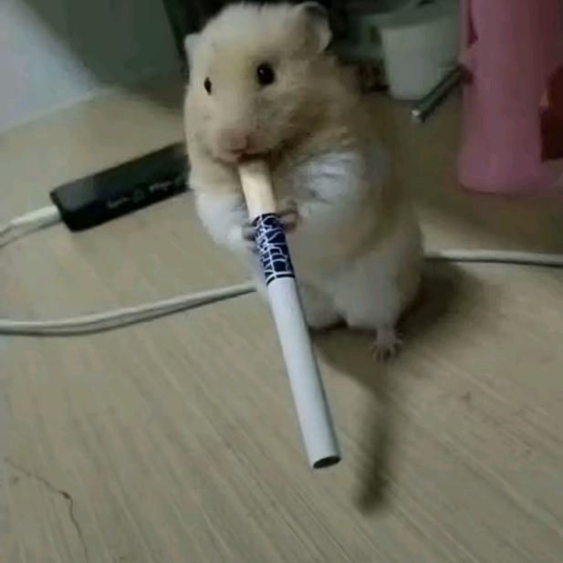 记得填写名字哦