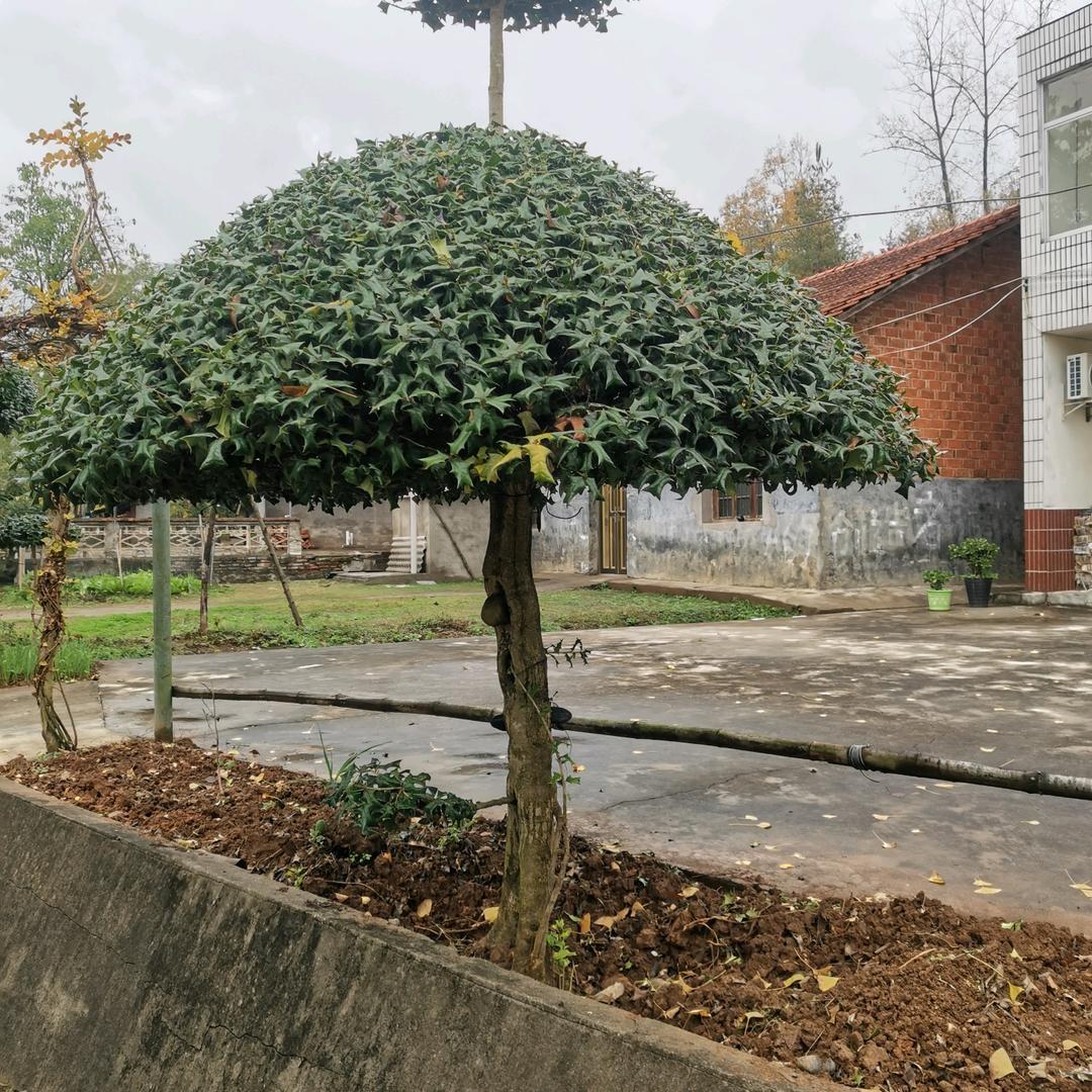 庙滩水电安装维修疏通下水道