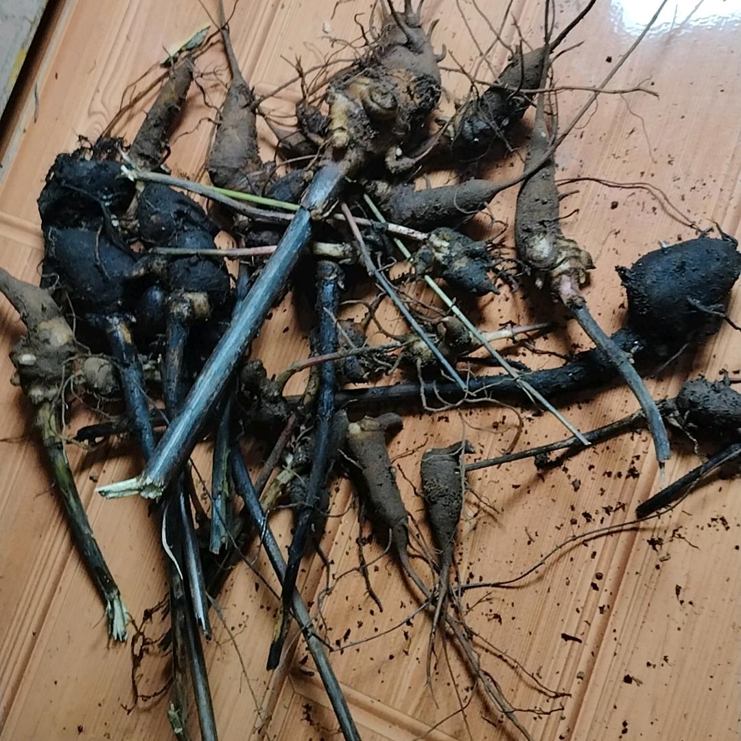 乡山货栈土特产