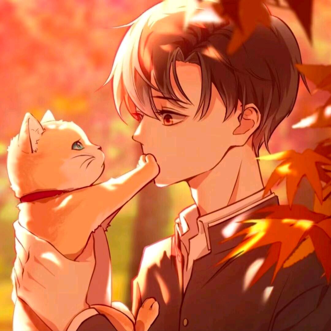 辞柒