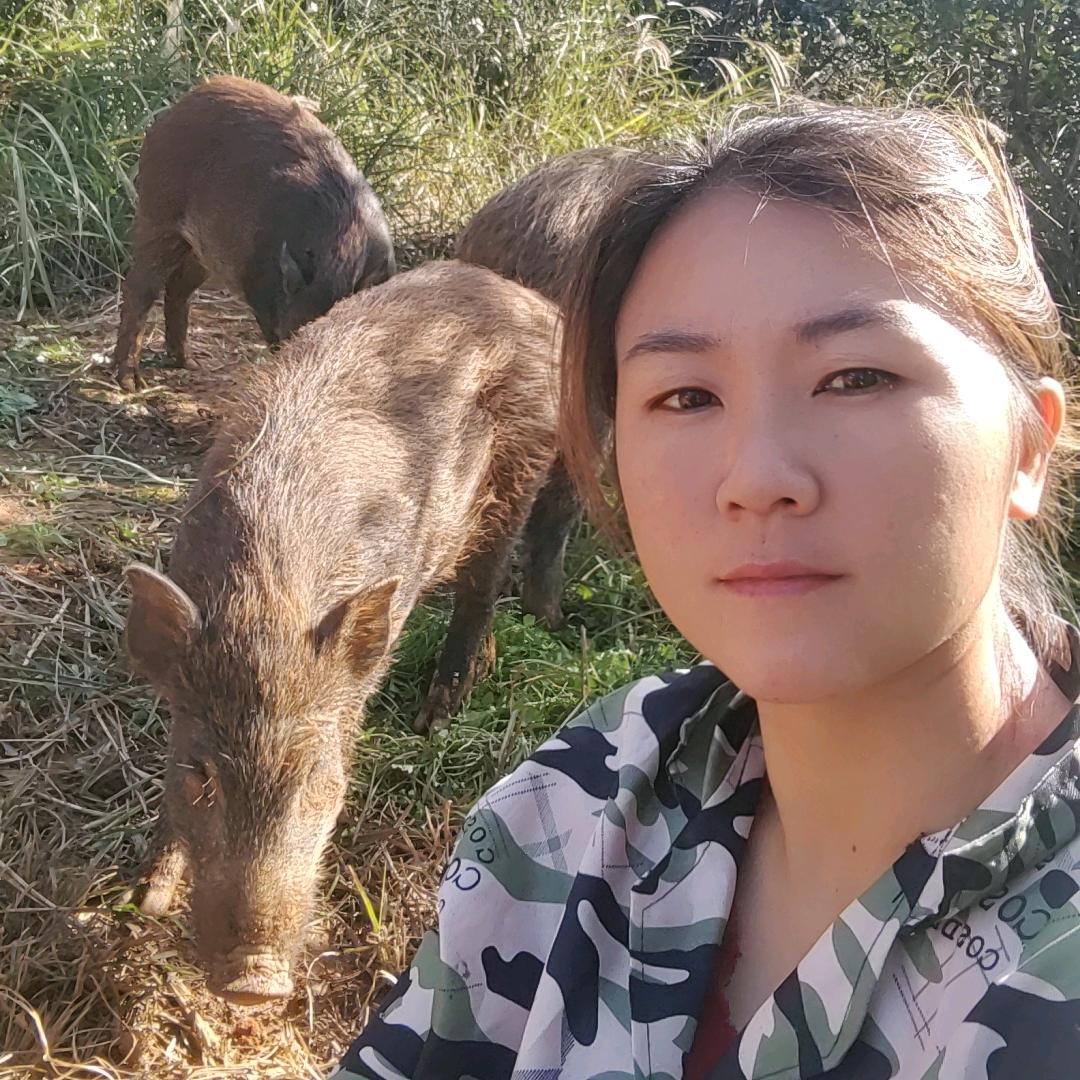飞梦家庭农场