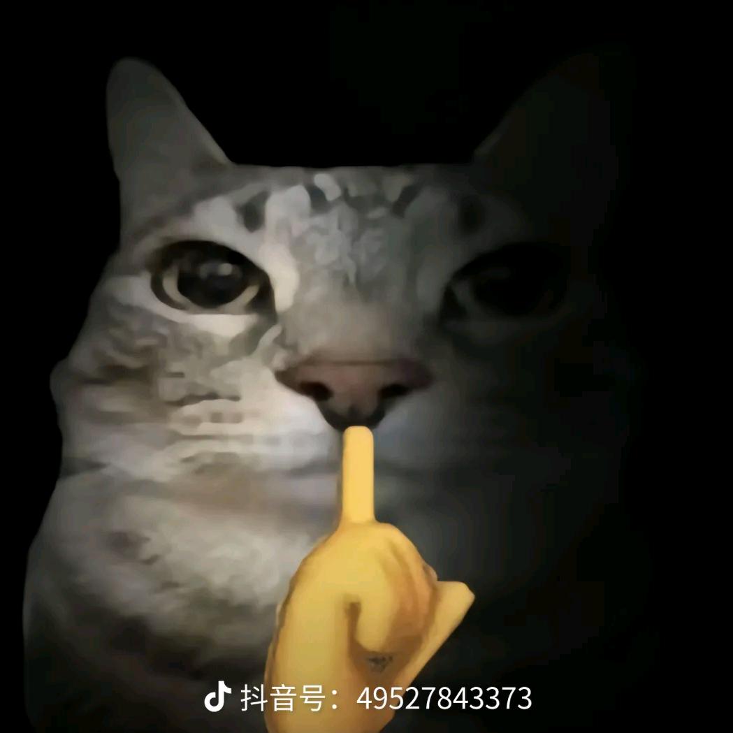 bro666