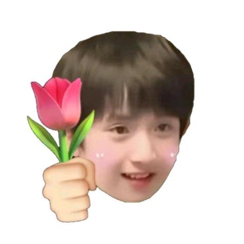 快乐tomato