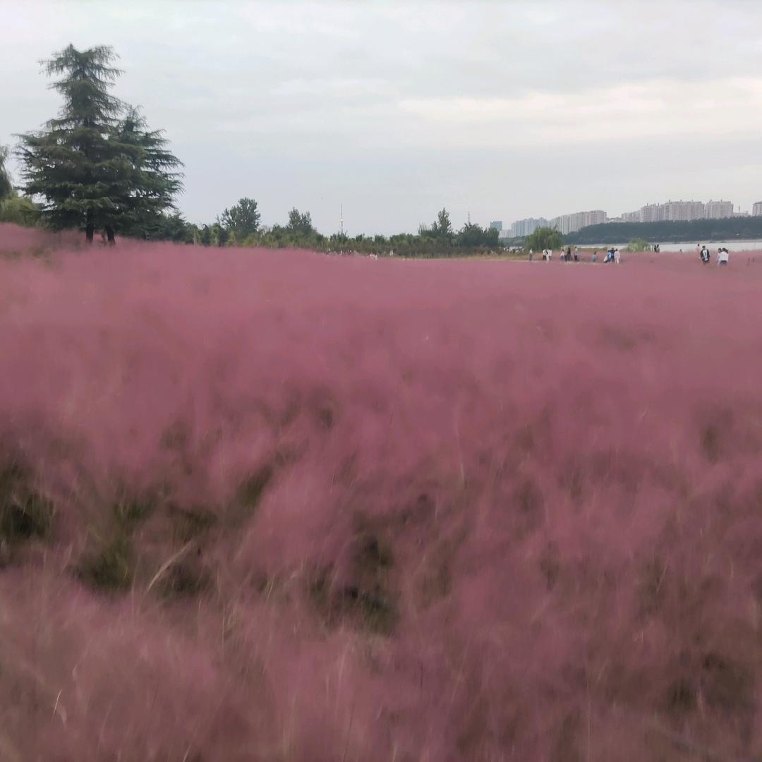 宇泽妈妈