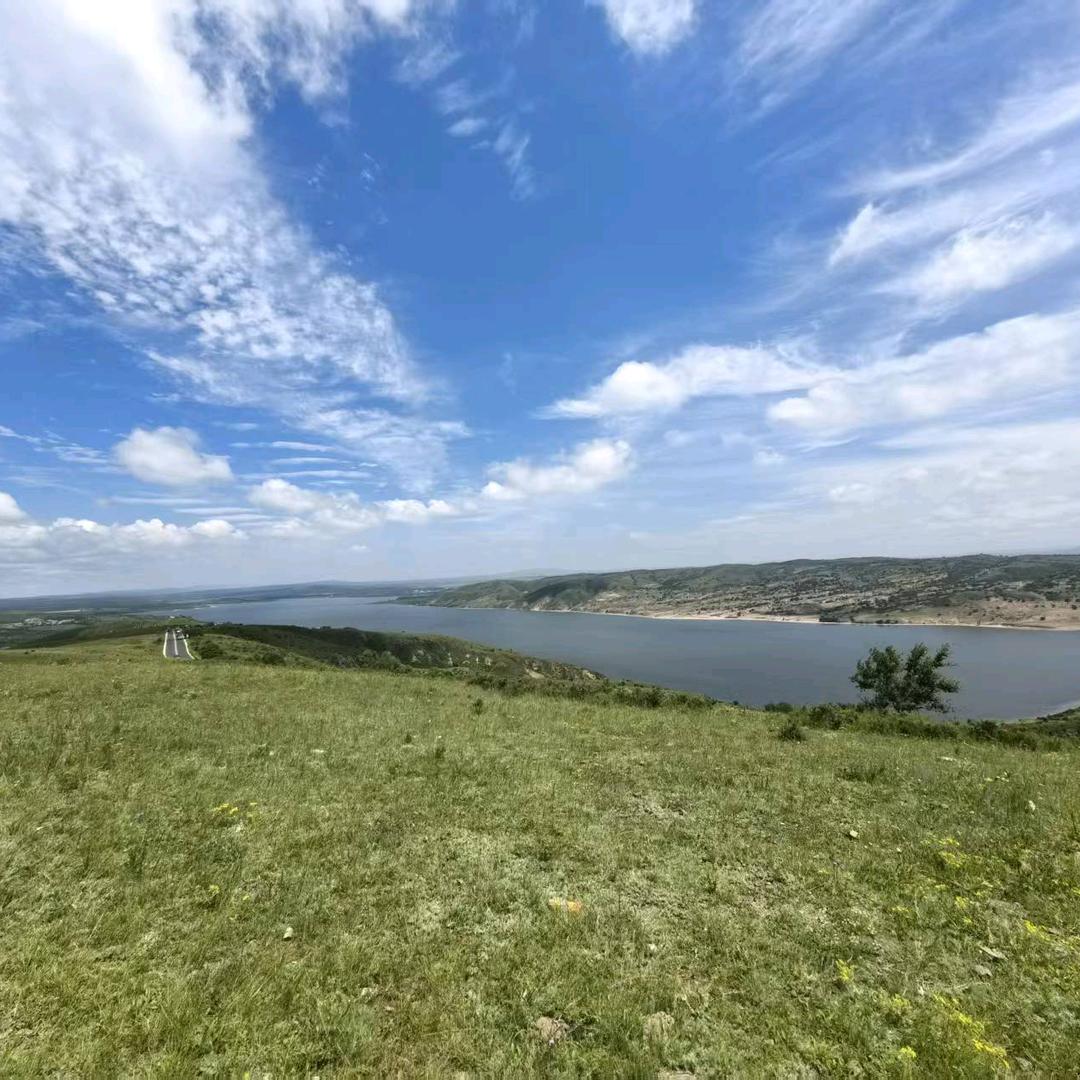 中和财税会计薇薇