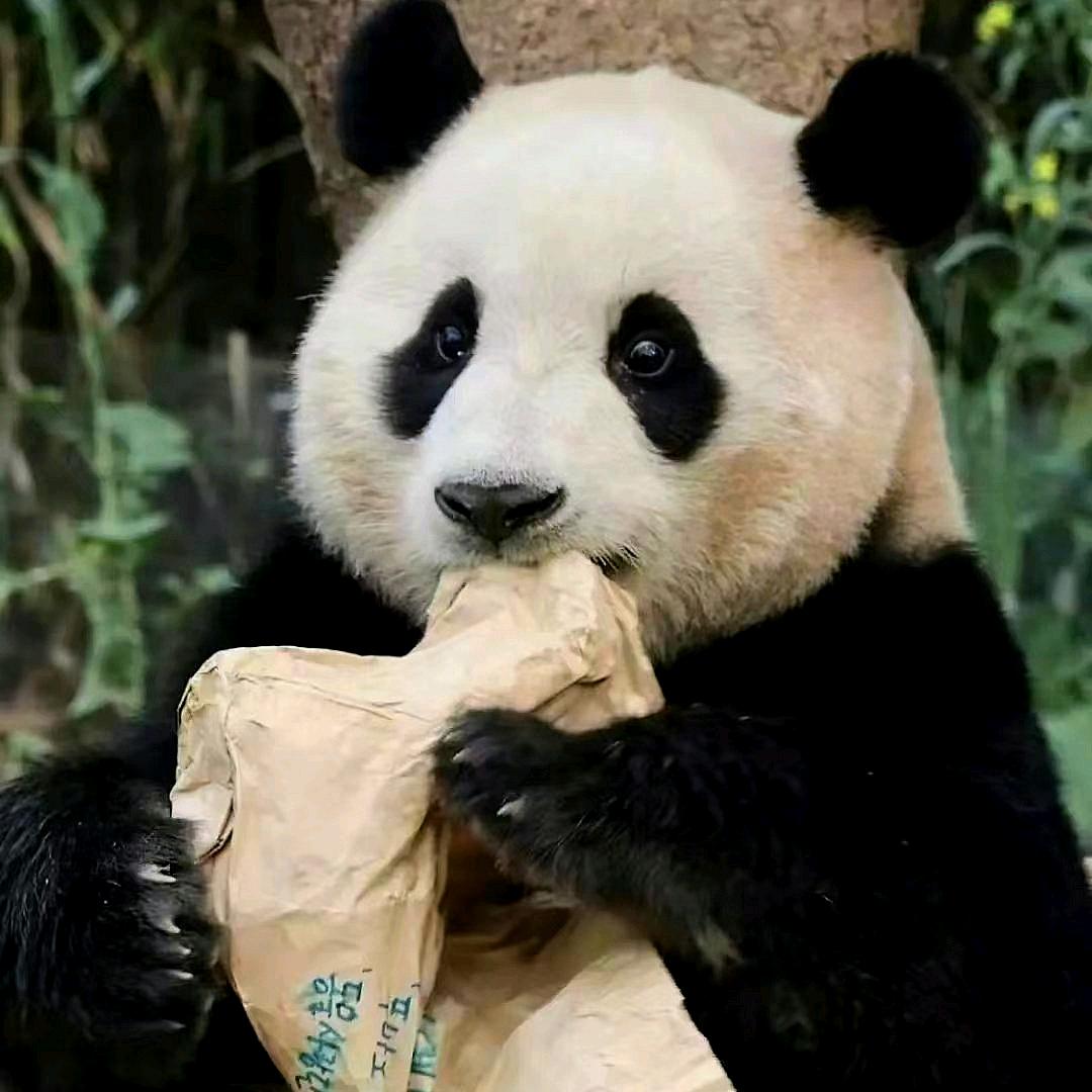 潍坊老孙说房