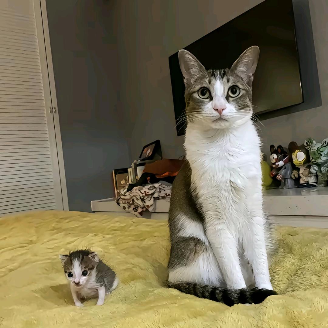 泡面我只干吃（真行佳版）