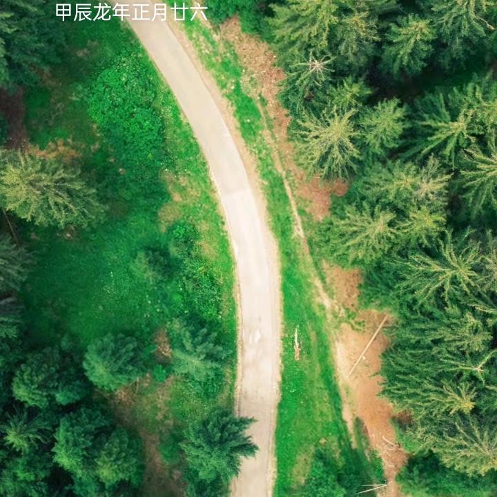 未来∴∴∴
