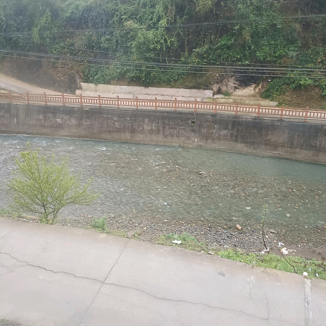 明亮的天空，翠。