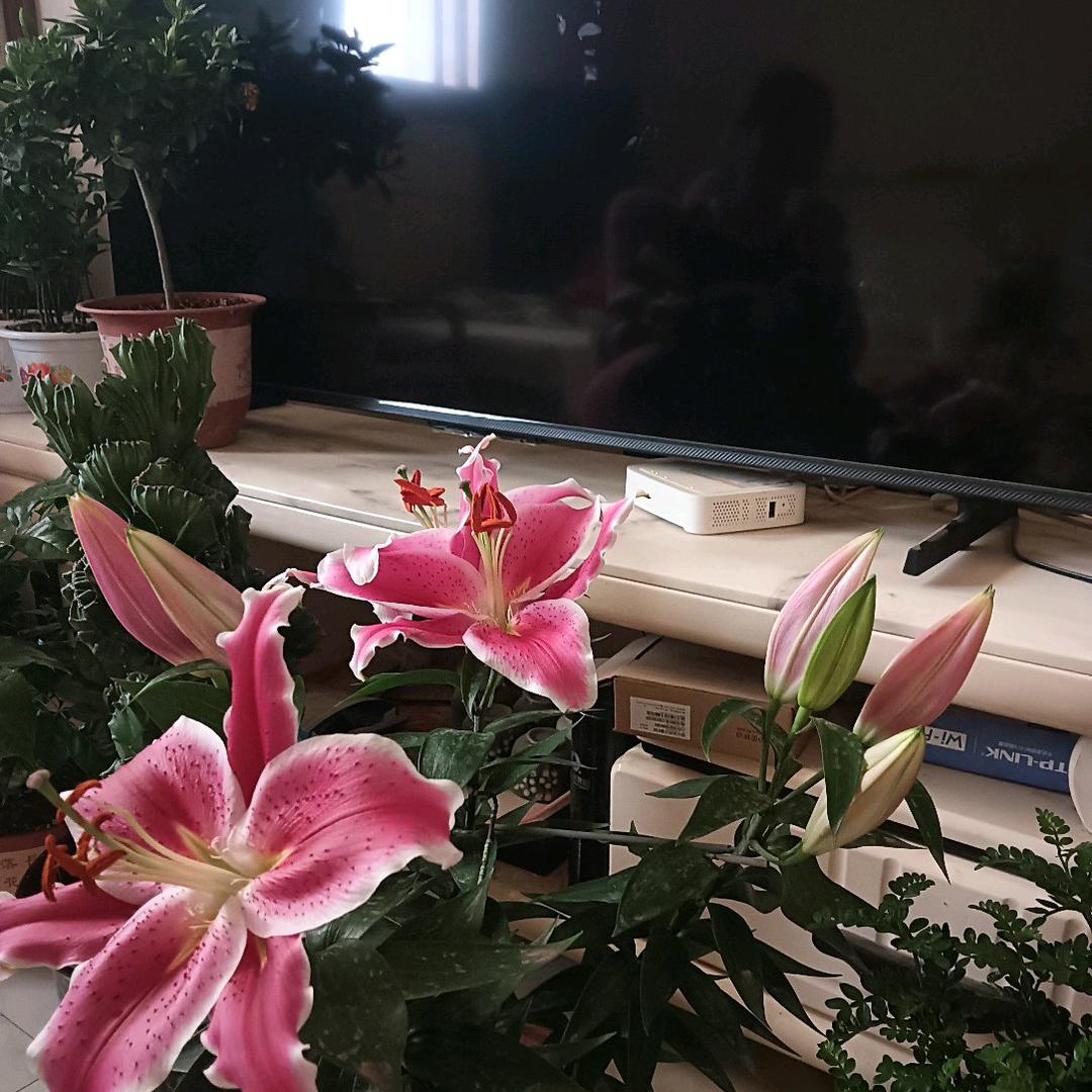 淡定的心态