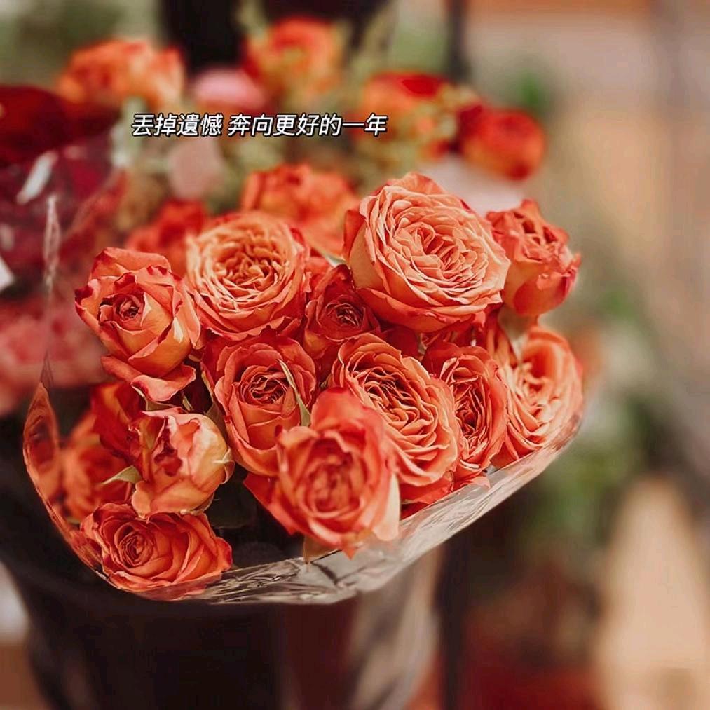 静沐暖阳