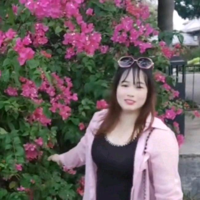 蓝柳莎