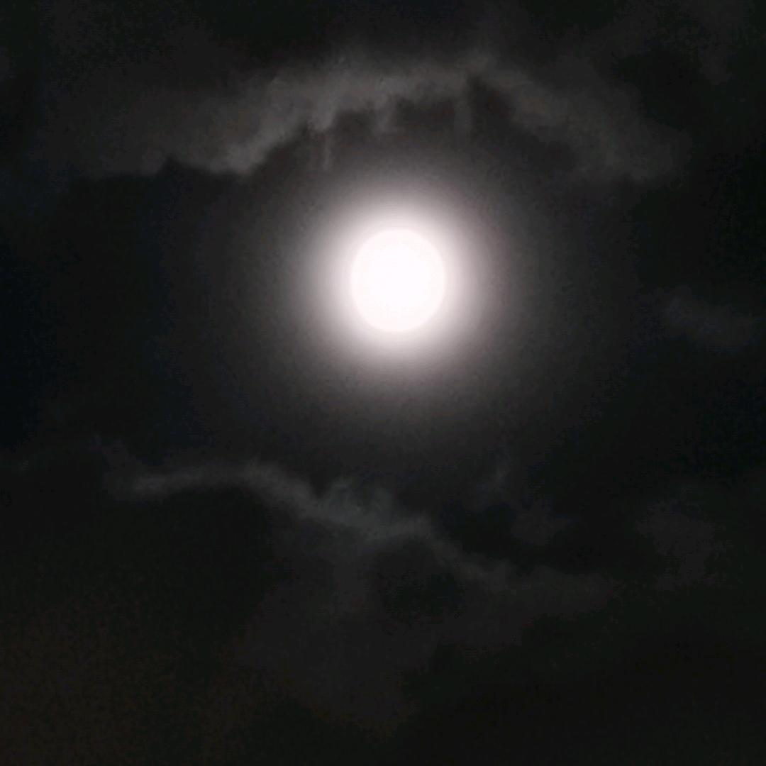 佛缘