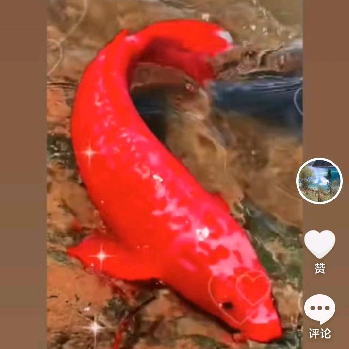 虚伪的世界