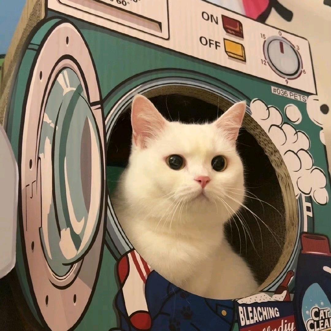 小伙伴