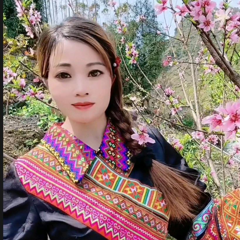 七百弄.哒依