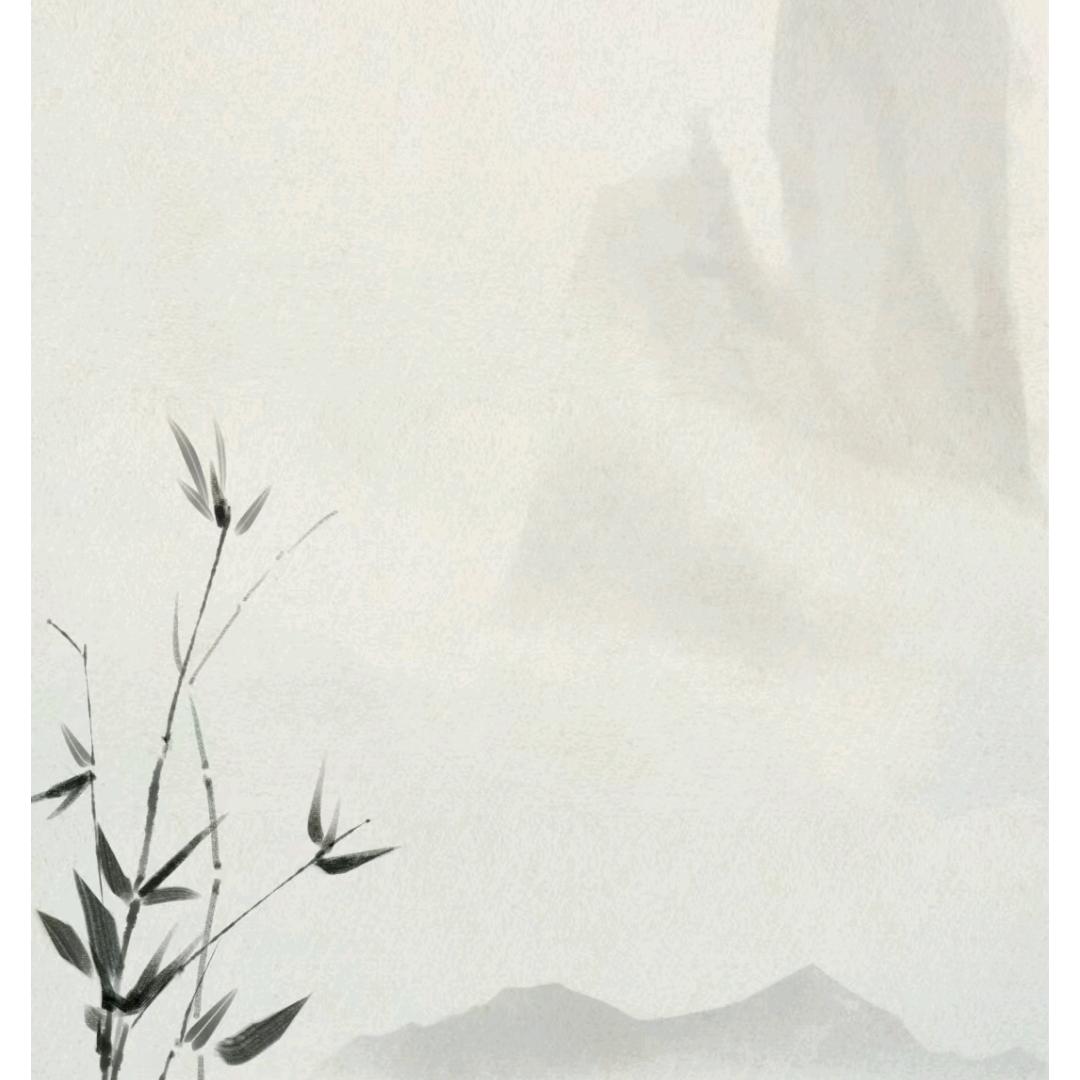 王振加强版