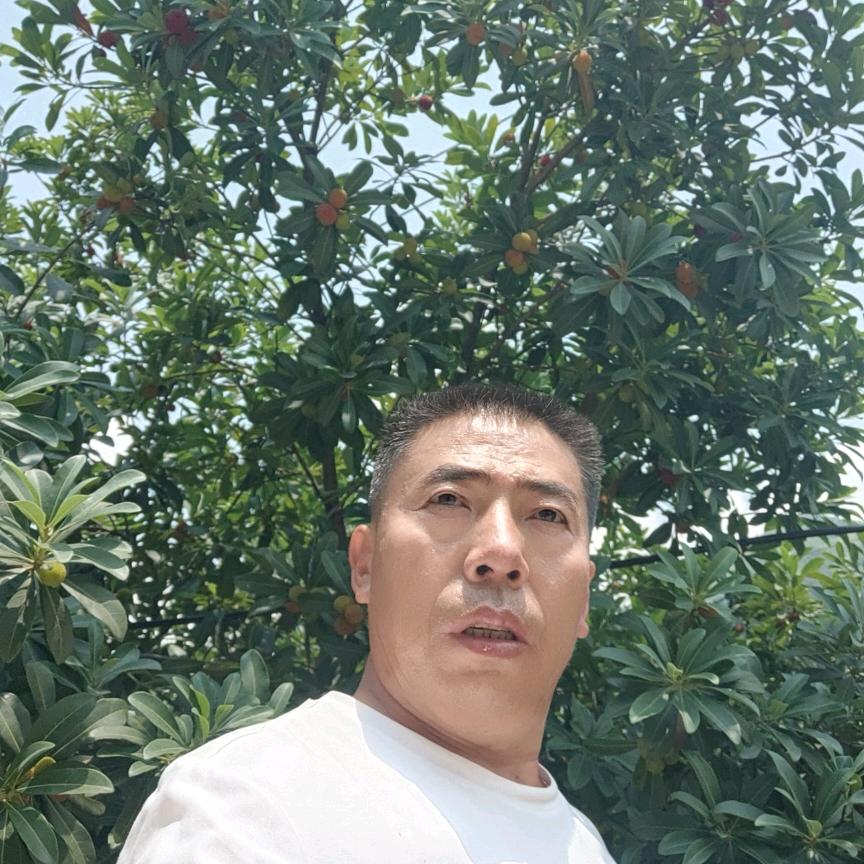 陈哥