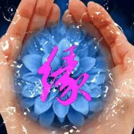 梅雪一诺共天涯