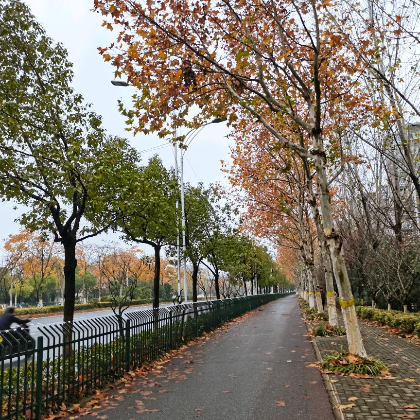 兴～然有你