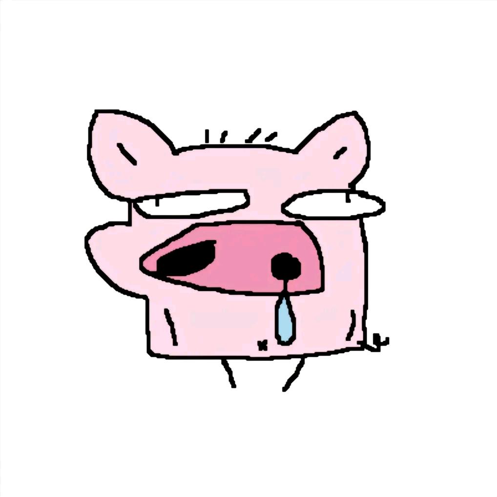 小朱刹不住🏍️