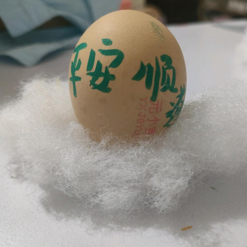 琴声悠悠