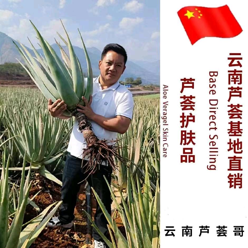 云南芦荟哥
