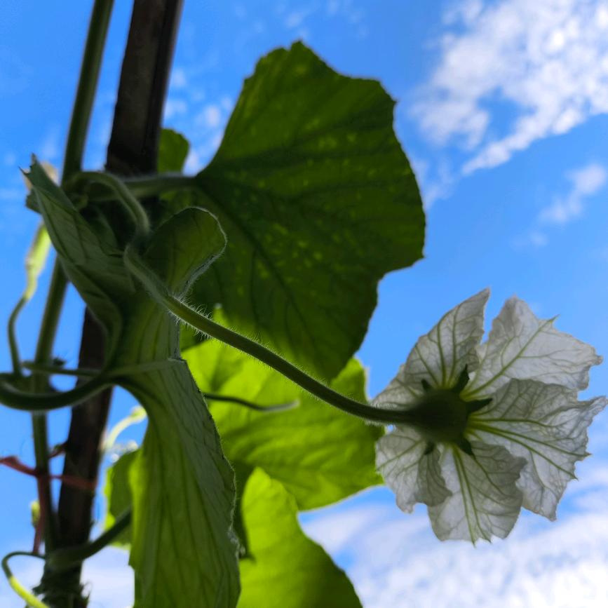 🌈感恩❤️❤️