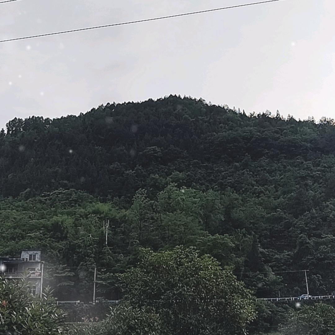 山村四毛