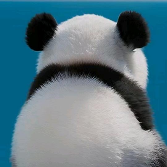 许二木果蔬-小东