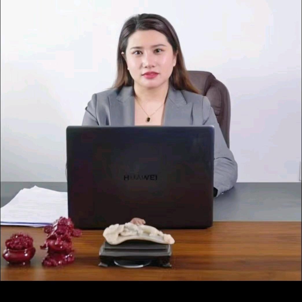 内蒙古电力档案（玉龙档案）