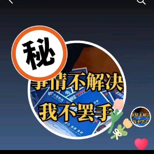 民间巡视